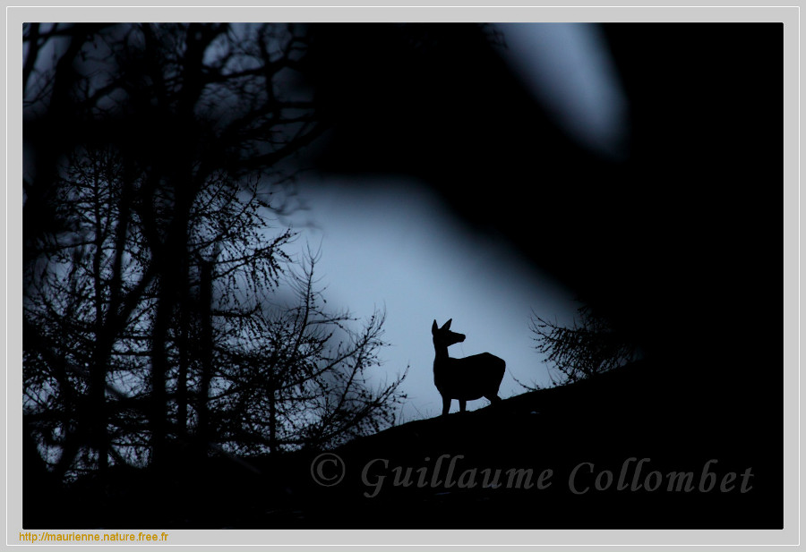 Ambiance du crpuscule